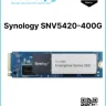 Synology SNV5420-400G