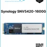 Synology SNV5420-1600G